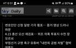 부정선거 종결