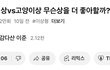 와 남자애들 고양이상 이정도로 좋아함??