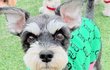 오늘의 톡