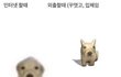 더블데이트 절망편 알려줄게