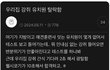 강아지 유치원 거부당함...