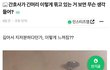 간호사 헤어스타일 논란.jpg