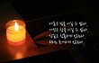 촛불이 역겨운 이유