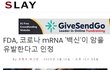 형이 코로나는 지구적 사기라 햇지?