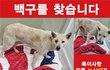 죄송하지만 꼭 봐주세요..