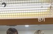 궁 리메이크 캐스팅 이러면 어때