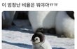 이번 김수현 사건이 저번 정우성 사건보다
