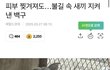 화재지역 동물들 도와주라ㅠ