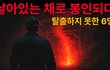 실제 1923년 호주 탄광에서 있었던 일… 인간이 이렇게 죽는다고?