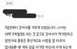 강아지 고민글을 올렸더니..