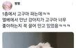 엘베에서 만난 강아지