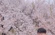 구혜선 이혼 후 남자 동기랑 껴안고 커플샷? 뭐지 이 분위기ㅋㅋ