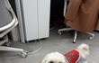 오늘의 톡