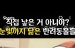 ++)악플러들이 지드래곤 어떻게 역바하는지 알려줌