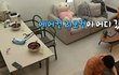 엔터톡