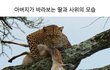 무섭다..ㅎ