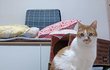 오늘의 톡