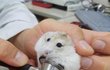 오늘의 톡
