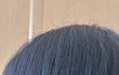 오늘의 톡
