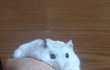 오늘의 톡
