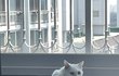 오늘의 톡