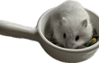오늘의 톡