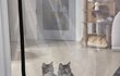 오늘의 톡