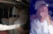 (보배드림글퍼옴) 남편이 연예인 여성과 외도를 하고 동거까지 하고 있습니다