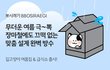 뽀시래기 길고양이 여름집