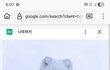북극여우 찬양하고 극락 찬양하면