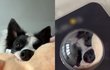 주문제작했는데 돈 주고 쓰레기 산 듯요 ㅠㅠ + 환불 요구하니까 잠수탐