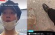 BTS지민 배우 송다은, 나인원한남 아파트 엘리베이터 틱톡 영상에 열애설 확산