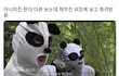 임신 생각보다 잘?? 안되는건가봐