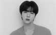 방탄 진 MONOCHROME LOGISTICS