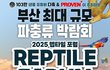 부산 벡스코 렙타일 포럼