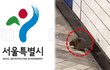 서울서 쥐 목격 민원 3년새 두 배 이상 증가… 도심 환경 변화가 불러온 현상