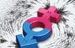 페미니즘Feminism을 겨냥한 증오의 칼부림