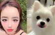 박봄, 양현석 고소장 공개 후 반려견 사진 “립스틱 감사”