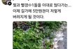 길거리에 뿌려진 돈  보고