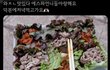 에스파 쌈밥 개맛있어보이는데...