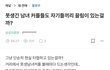 못생긴 남녀 커플들도 자기들끼리 끌림이 있는걸까?