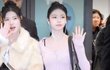 하츠투하츠 이안 비율