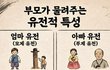 부모유전자 이거 맞는거같음?