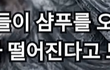 (대충격주의) 머리떡진다고 지성샴푸 쓰면 안되는 이유