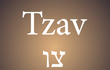 파라샤 짜브(צַו) 요약