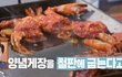 메인컨텐츠