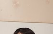 판녀들아 몇 살 처럼 보여?
