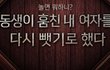 엔터톡