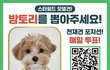 스타필드 엠버서독 알아?