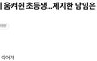 요즘 초등학교 교사 고통